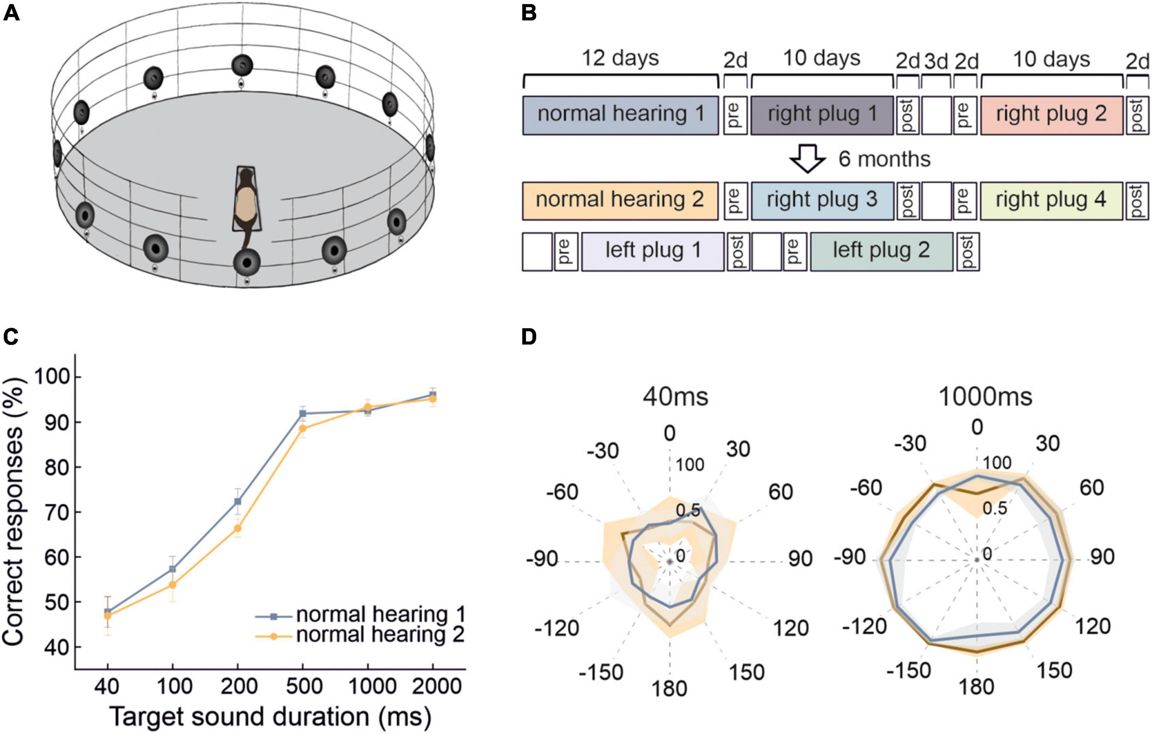 Persistence and generalization of adaptive changes in auditory localization behavior following unilateral conductive hearing loss